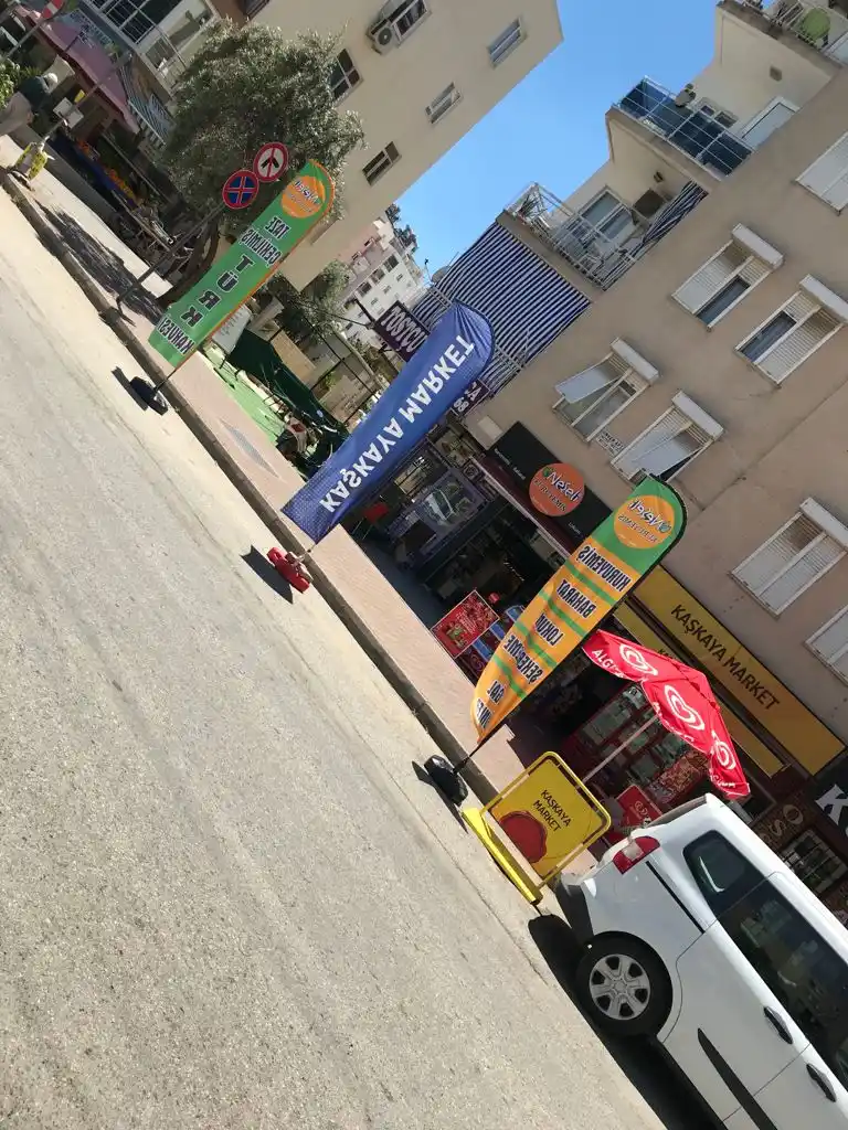 Kuruyemiçi Yelken Bayrağı-13