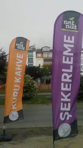 Kuruyemiçi Yelken Bayrağı-19