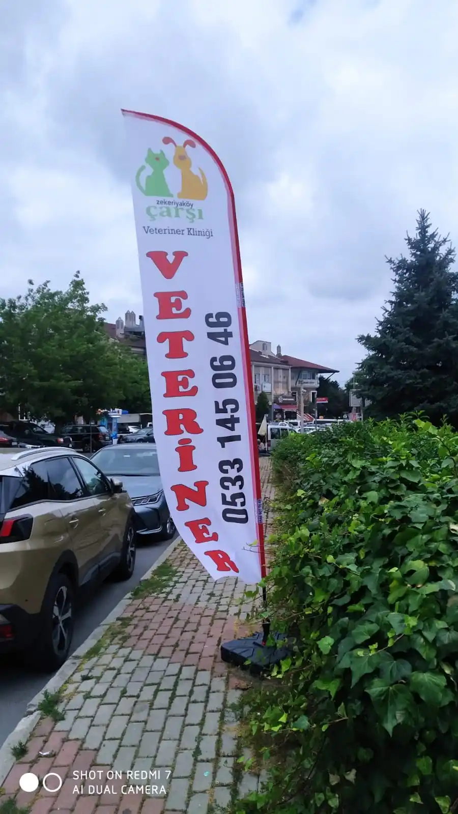 Veteriner Yelken Bayrağı-2